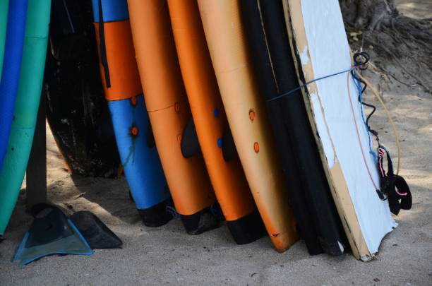 softboard planche pour débutant